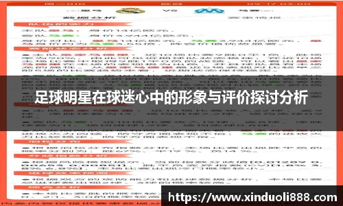足球明星在球迷心中的形象与评价探讨分析